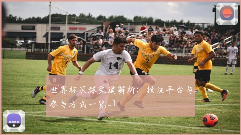 世界杯买球渠道解析:投注平台与参与方式一览_1