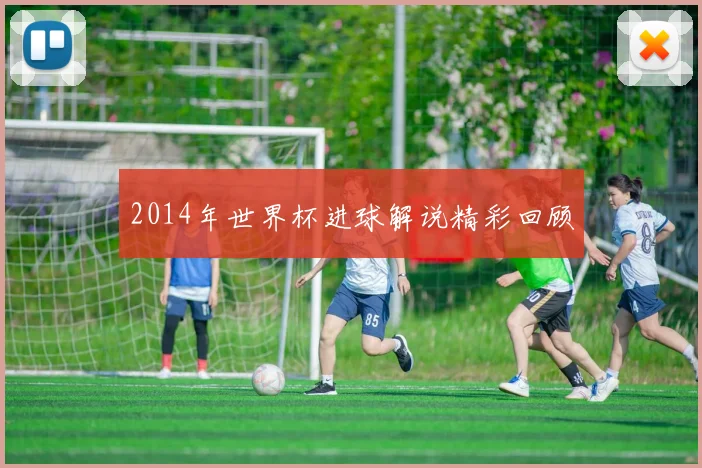 2014年世界杯进球解说精彩回顾